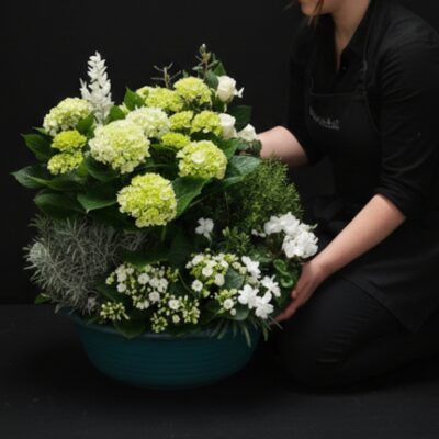 Compo de plantes "L'Éclat d'Émeraude et Neige" ​Description de la Création ​Une composition majestueuse et généreuse, travaillée dans un esprit de "jardin intérieur". Cette pièce d'exception joue sur l'accumulation de végétaux nobles pour offrir un contraste saisissant entre le vert profond des feuillages et la pureté des floraisons blanches. ​L’esthétique, capturée sur fond noir, souligne le geste de l'artisan et la densité de cette réalisation haut de gamme. ​Détails Techniques ​Type de produit : Composition de plantes en coupe. ( légèrement variable en fonction des saisons)  ​Harmonie colorée : Vert tendre, Blanc de lait, reflets Argentés. ​Végétaux principaux : ​Hydrangea (Hortensia) : Pour le volume et la structure. (en fonction des disponibilité en magasin) ​Kalanchoe & Cyclamen blancs : Pour la finesse des détails en base. ​Feuillages texturés : Intégration de variétés graphiques (type Calocephalus) pour le contraste de matière. ​Contenant : Coupe large évasée, coloris bleu pétrole profond, mettant en relief l'éclat des fleurs.