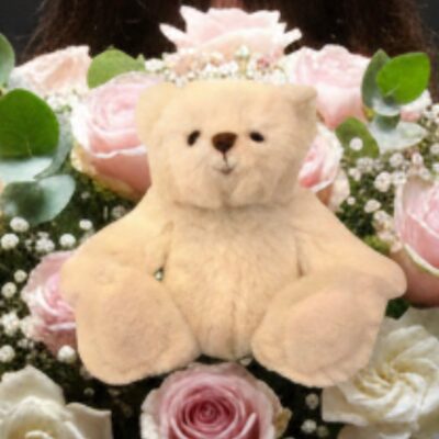 Ourson en Peluche